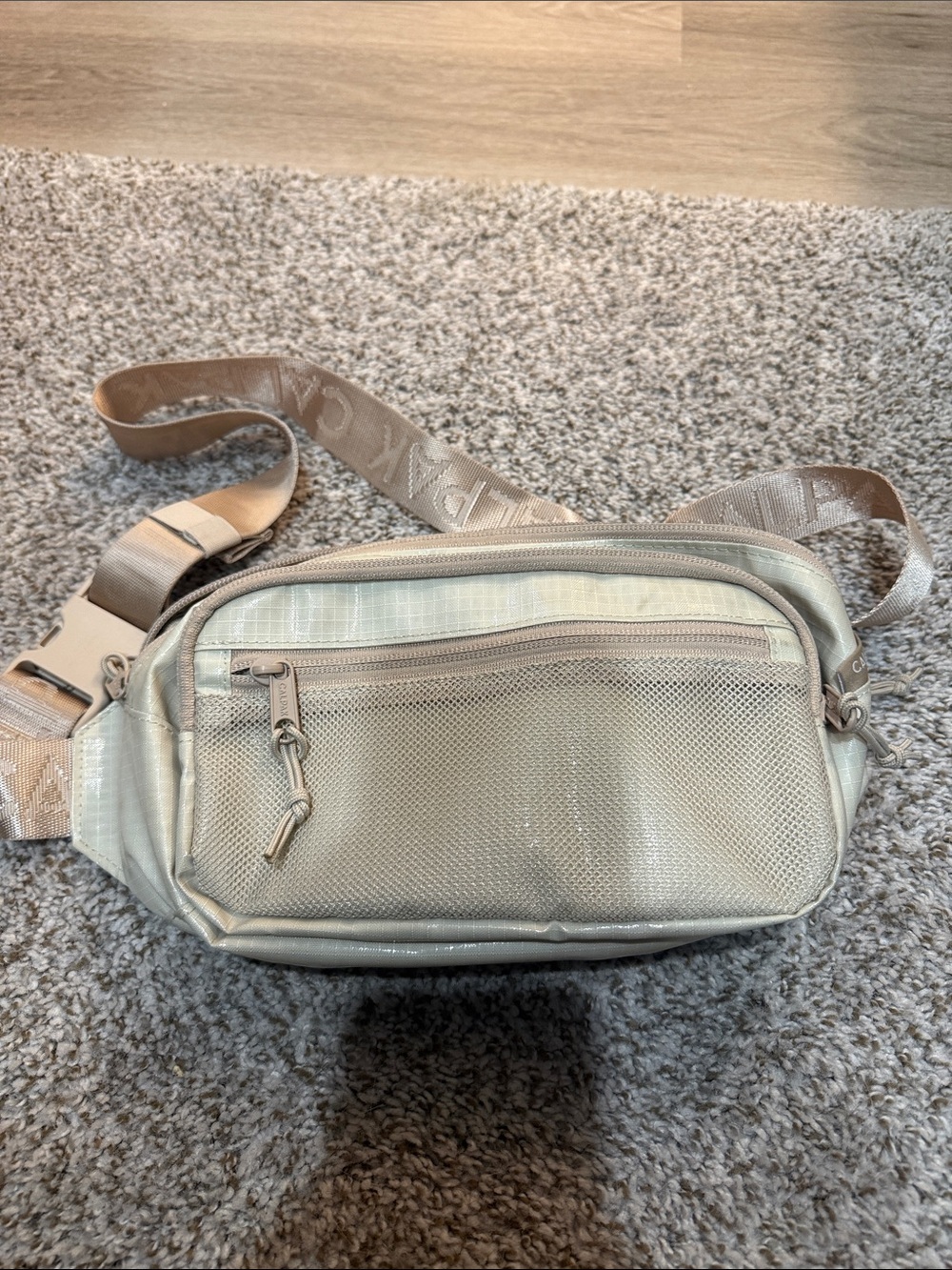 Calpak Light Beige Shimmery Crossbody Sling